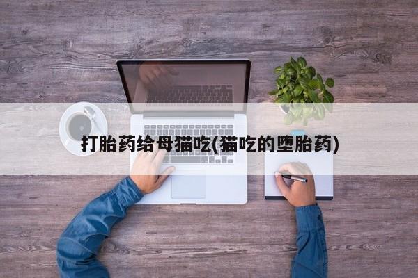 打胎药专卖微信米非司酮片联系方式打胎药给母猫吃(猫吃的堕胎药)