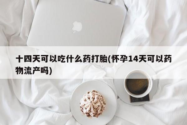 打胎药专卖微信米非司酮片联系方式十四天可以吃什么药打胎(怀孕14天可以药物流产吗)